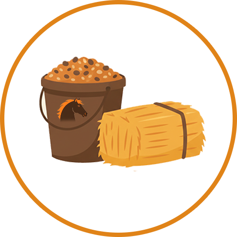 Horse Food